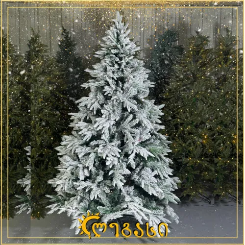 საახალწლო ნაძვის ხე-210