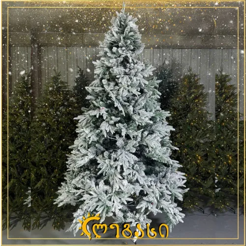 საახალწლო ნაძვის ხე-270