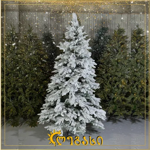 საახალწლო ნაძვის ხე-210