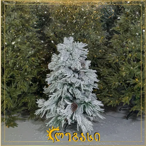 საახალწლო ნაძვის ხე-120