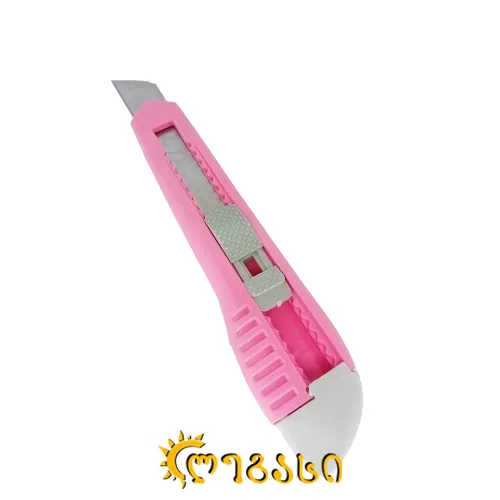 საკანცელარიო დანა