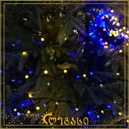 საახალწლო განათება 300-ნათ. 10 მეტ.