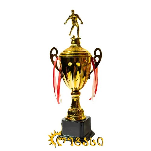 ფეხბურთის თასი (ჯილდო, პრიზი) 47 სმ