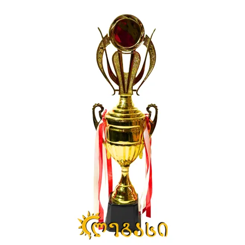 თასი (ჯილდო, პრიზი) 41 სმ