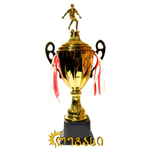 ფეხბურთის თასი (ჯილდო, პრიზი) 51 სმ