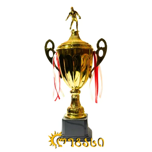 ფეხბურთის თასი (ჯილდო, პრიზი) 55 სმ