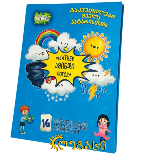 სასწავლო ბარათი ,,ამინდი"