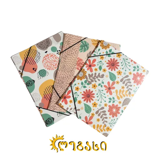 საკანცელარიო პაპკა