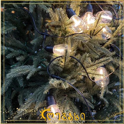 საახალწლო ნაძვის ხის განათებნა