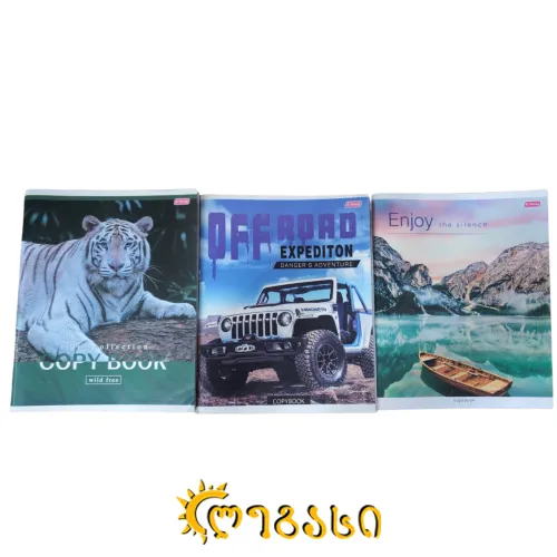 რვეული 96-ფ. ცალ.