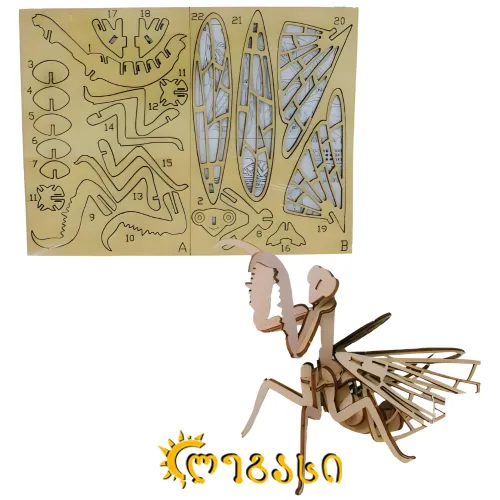 ხის მწერი ასაწობი