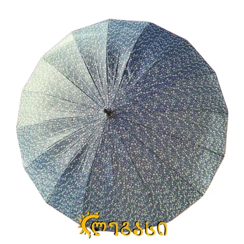 საწვიმარი ქოლგა