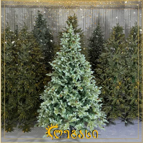 საახალწლო ნაძვის ხე-210