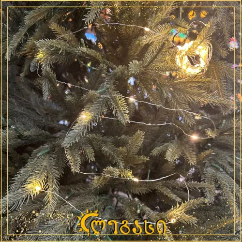 ნაძვის ხის თბილი განათება წვრილი 100-ნათ. 10 მეტ.