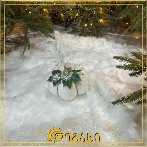 დეკორატიული გოგრა