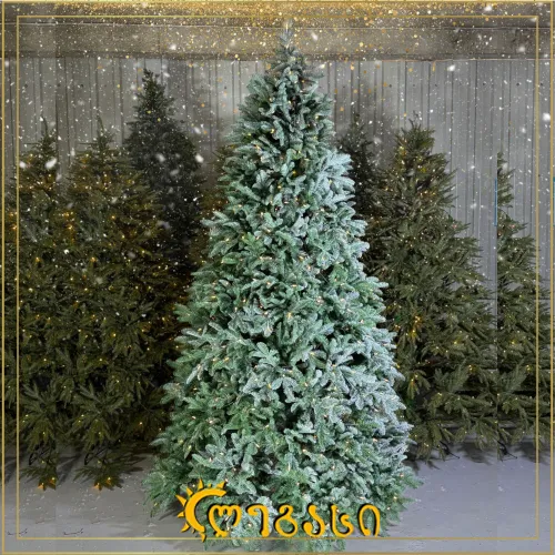 საახალწლო ნაძვის ხე-240