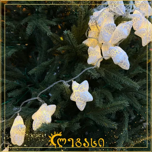  საახალწლო ნაძვის ხის განათება (4.5M-20L)
