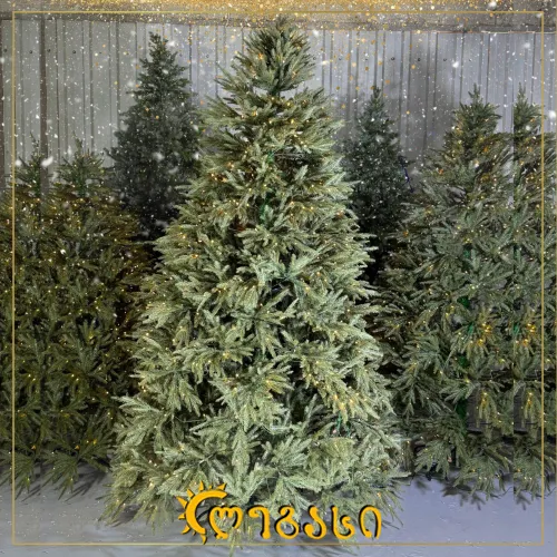 საახალწლო ნაძვის ხე-240