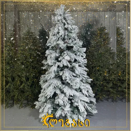 საახალწლო ნაძვის ხე-240