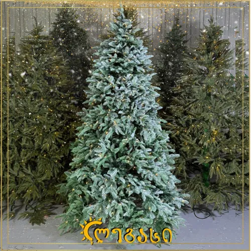 საახალწლო ნაძვის ხე-210