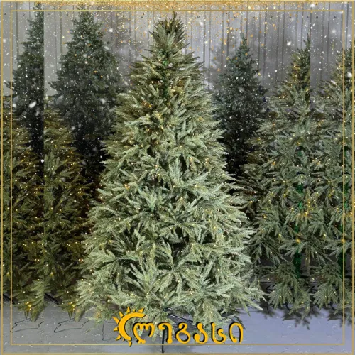 საახალწლო ნაძვის ხე-210