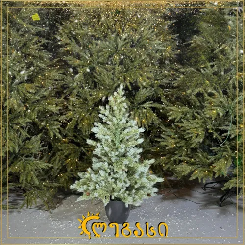 საახალწლო ნაძვის ხე-90