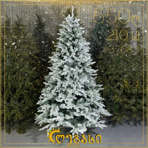 საახალწლო ნაძვის ხე-210