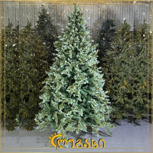 საახალწლო ნაძვის ხე-240