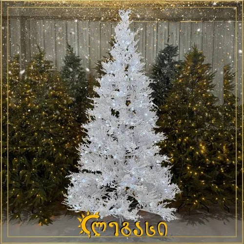საახალწლო ნაძვის ხე-240