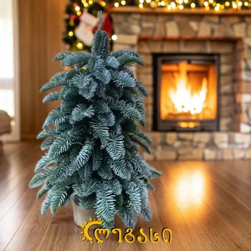 საახალწლო ნაძვის ხე-55