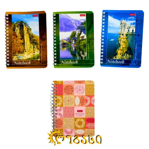 რვეული უჯრებიანი (80 ფურცლიანი) 14X10 სმ