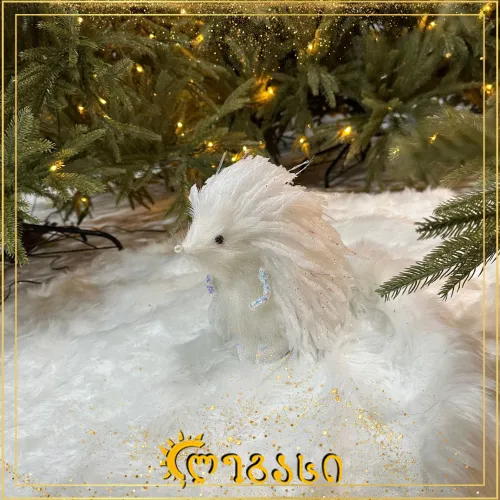 დეკორატიული ცხოველი 