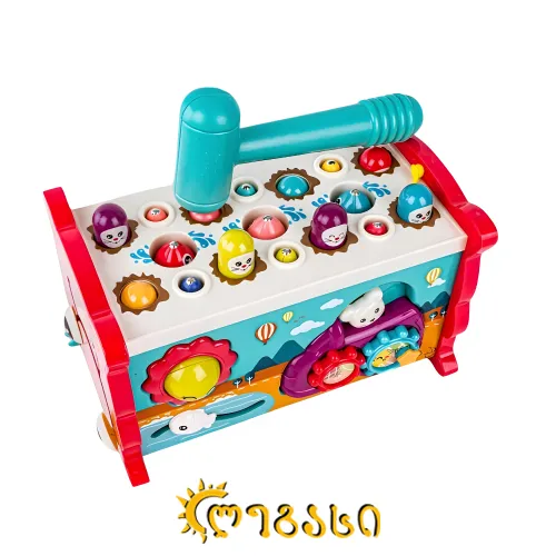 მრავალფუნქციური სათამაშო ბავშვებისთვის 