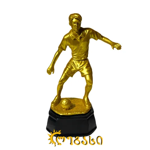 ფეხბურთის თასი (ჯილდო, პრიზი) 24 სმ