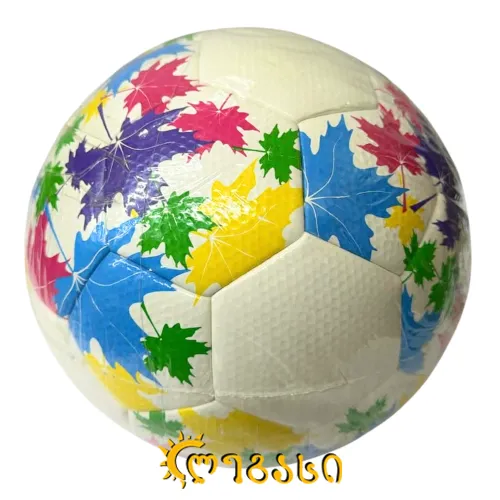 ფეხბურთის ბურთი #-5.