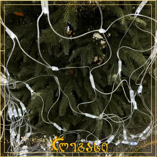 საახალწლო განათება 240-ნათ. 3x2