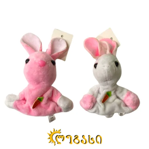 მაგნიტური ბაჭია პატარა