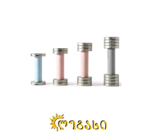 სავარჯიშო ჰანტელი მაგნიტური წყვილი SC-80370(2.5KG)