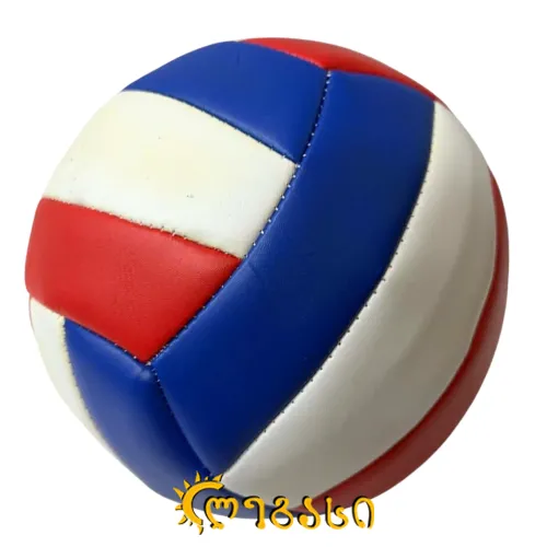 ფრენბურთის ბურთი