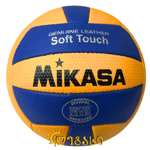 ფრენბურთის ბურთი