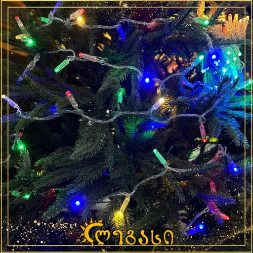 საახალწლო განათება 300-ნათ. 10 მეტ.