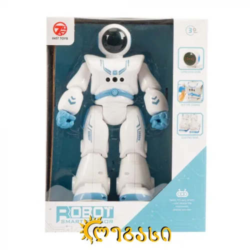 სათამაშო რობოტი