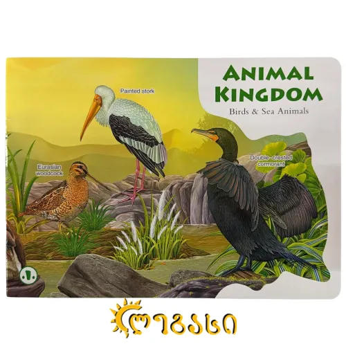 საბავშო სავარჯიშო და გასაფერადებელი რვეული