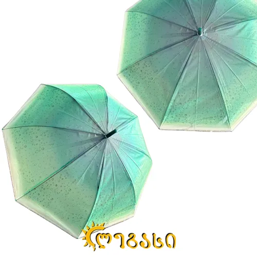 საწვიმარი ქოლგა