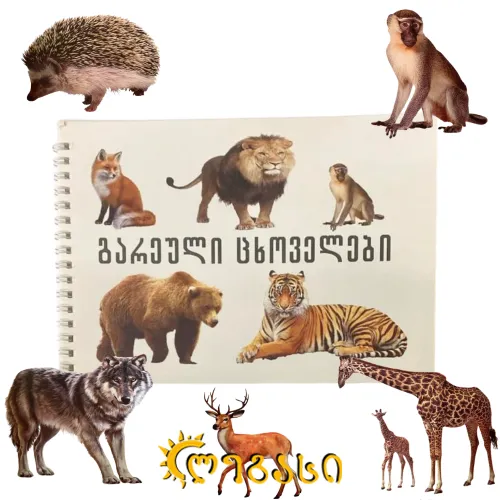 თვალსაჩინო ბარათი ზამბარით