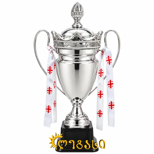სპორტის თასი მეტალის 51სმ