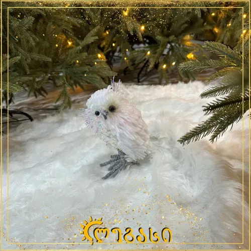 დეკორატიული ფრინველი