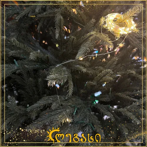 საახალწლო ნაძვის ხის განათება